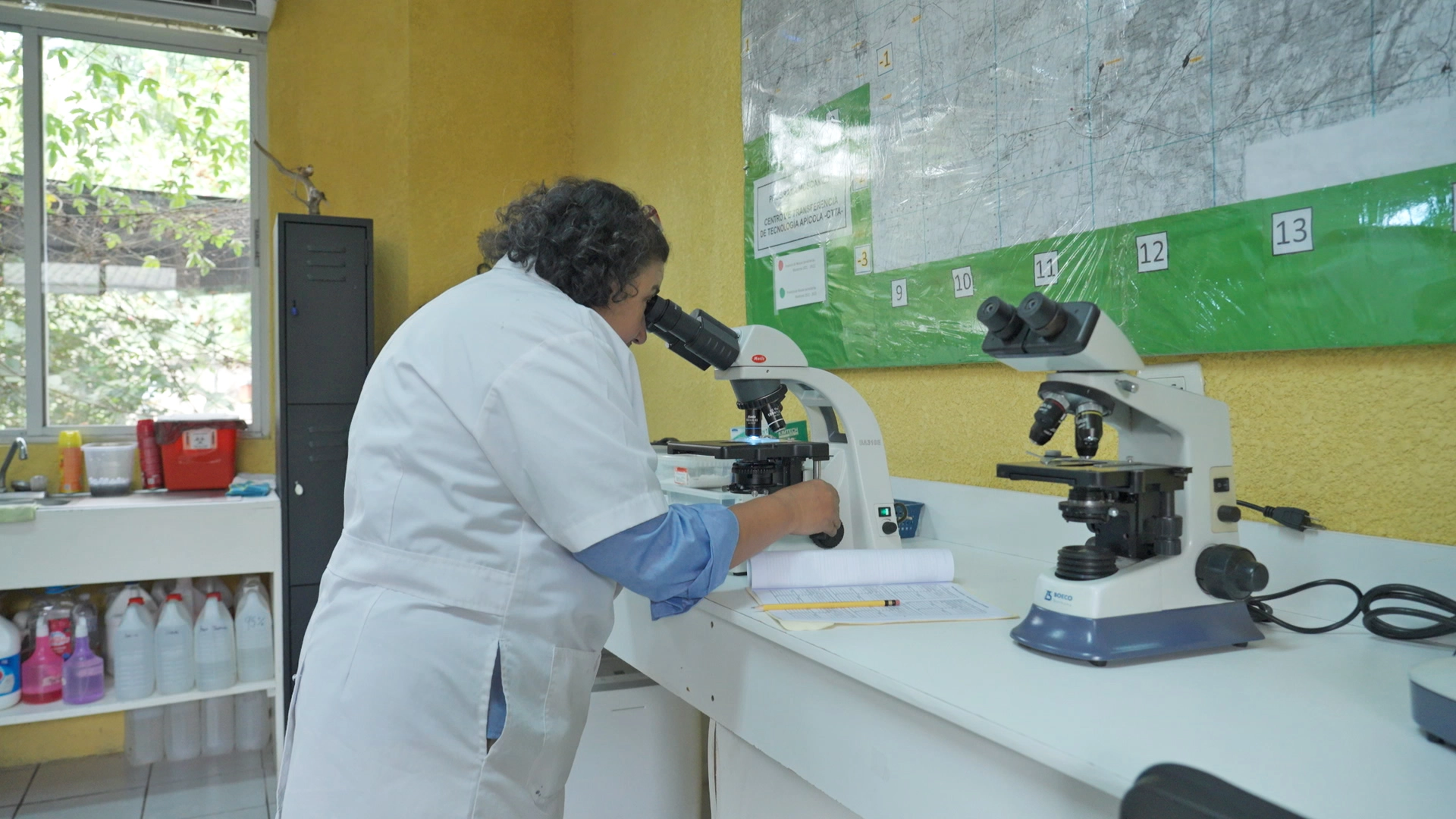 Apicultura-Laboratorio-03