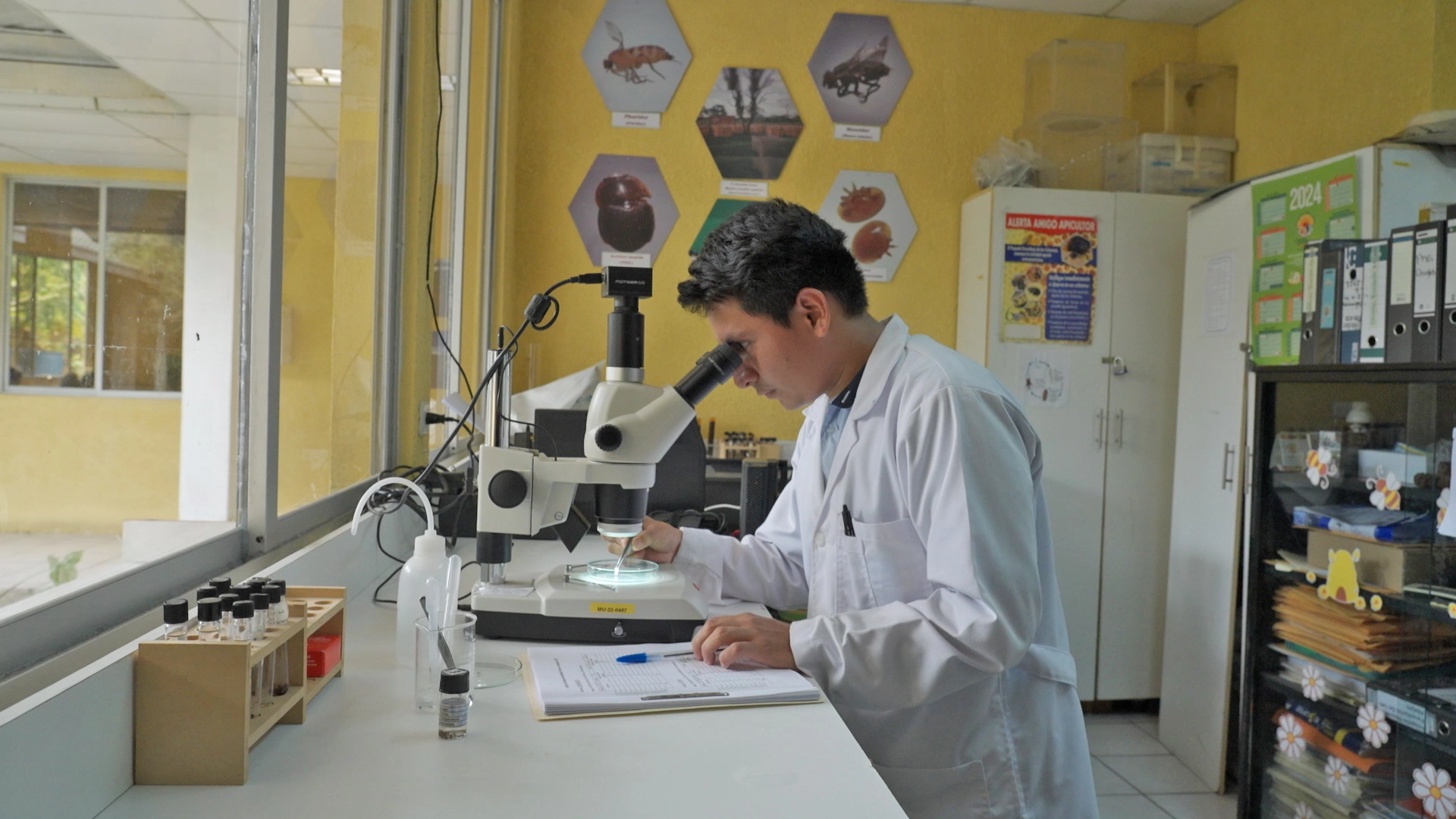 Apicultura-Laboratorio-05