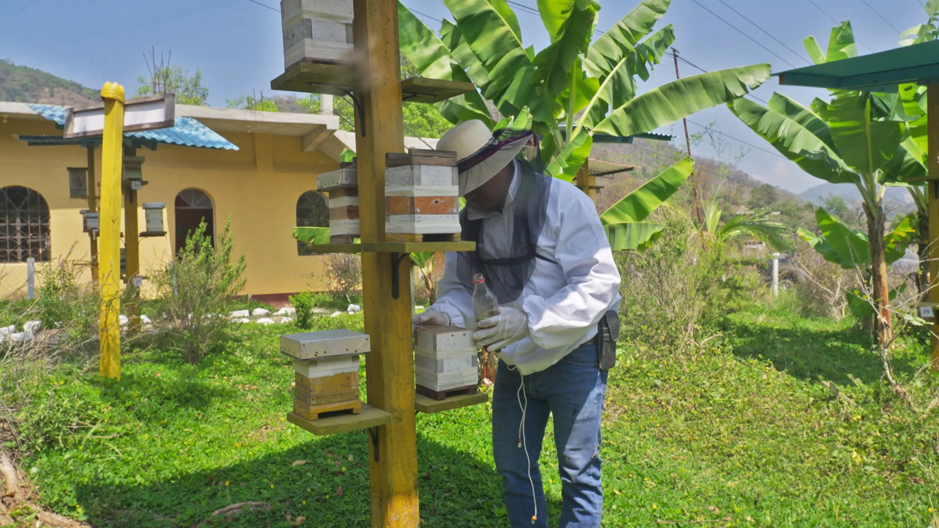 Apicultura-SedesCTTA-01