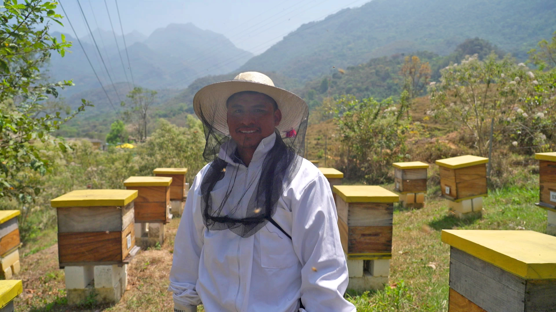 Apicultura-SedesCTTA-02