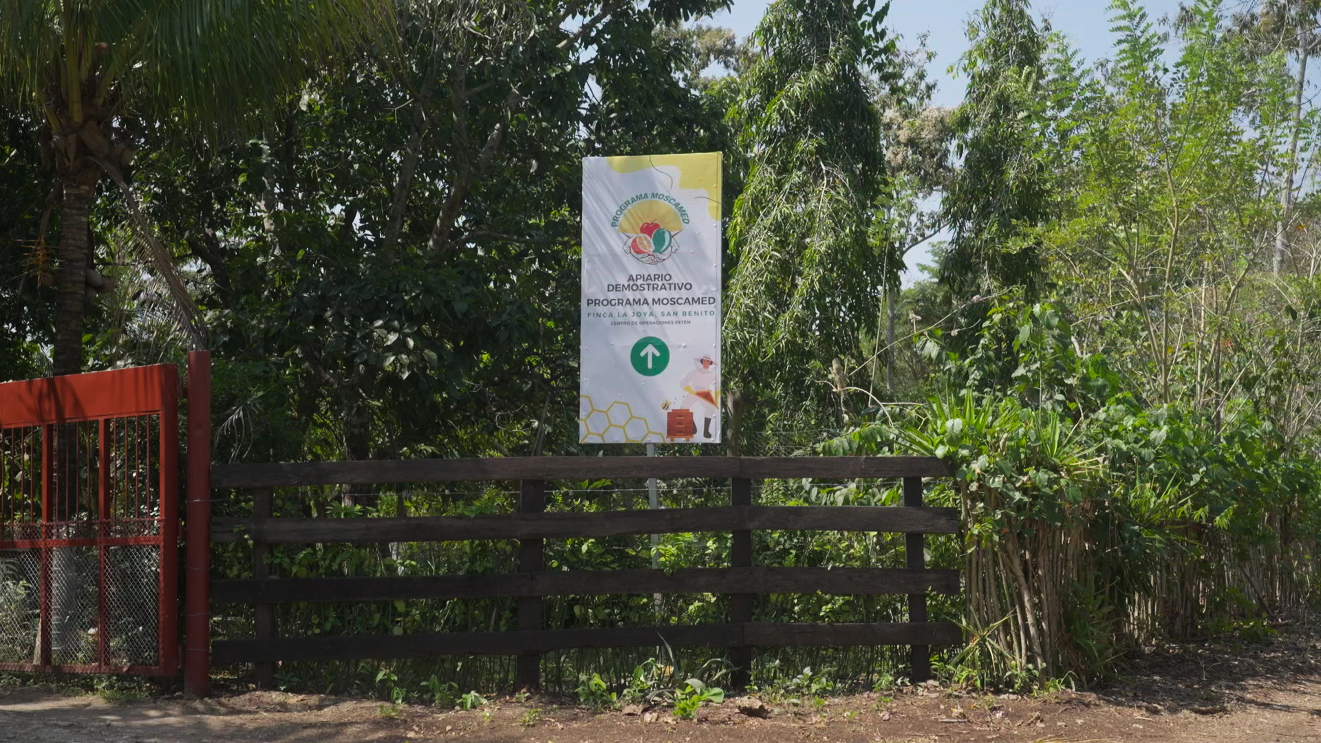 Apicultura-SedesCTTA-06