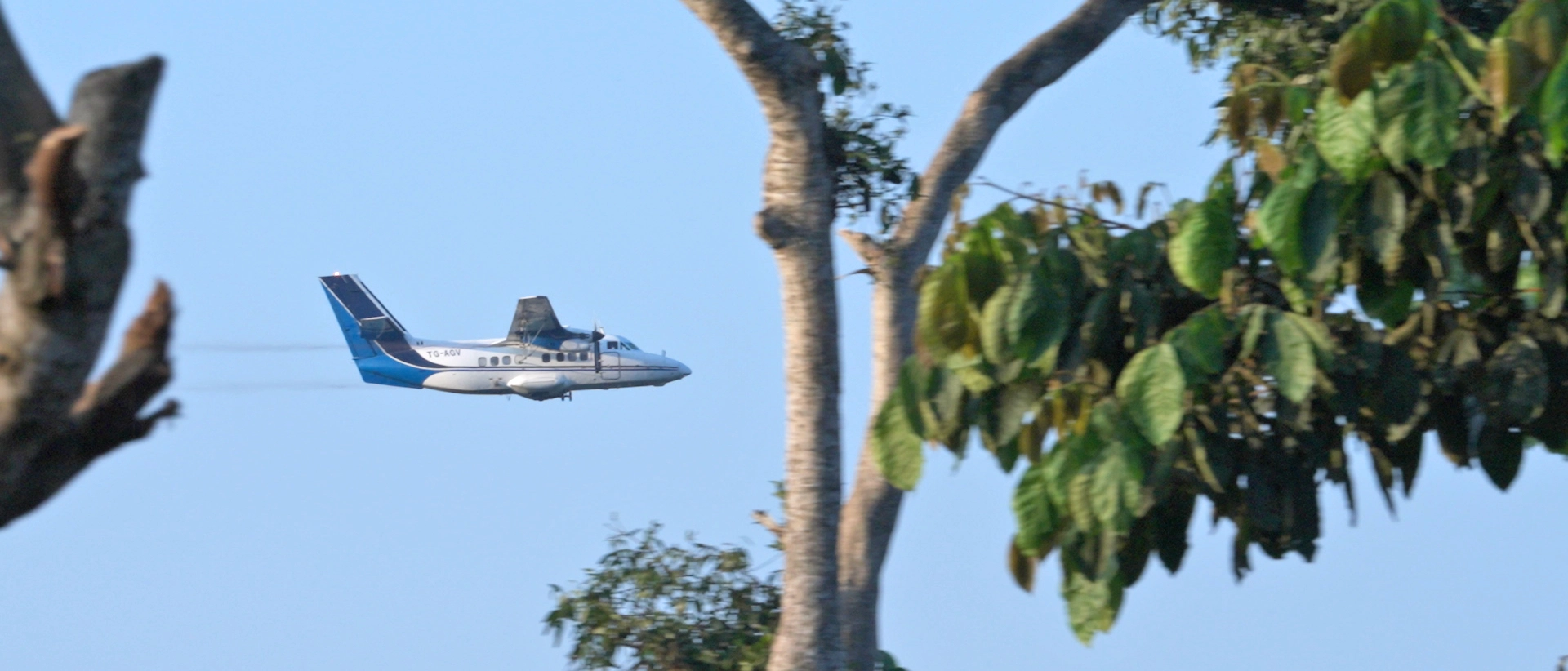 Aspersiones Aéreas para control de la mosca del Mediterráneo