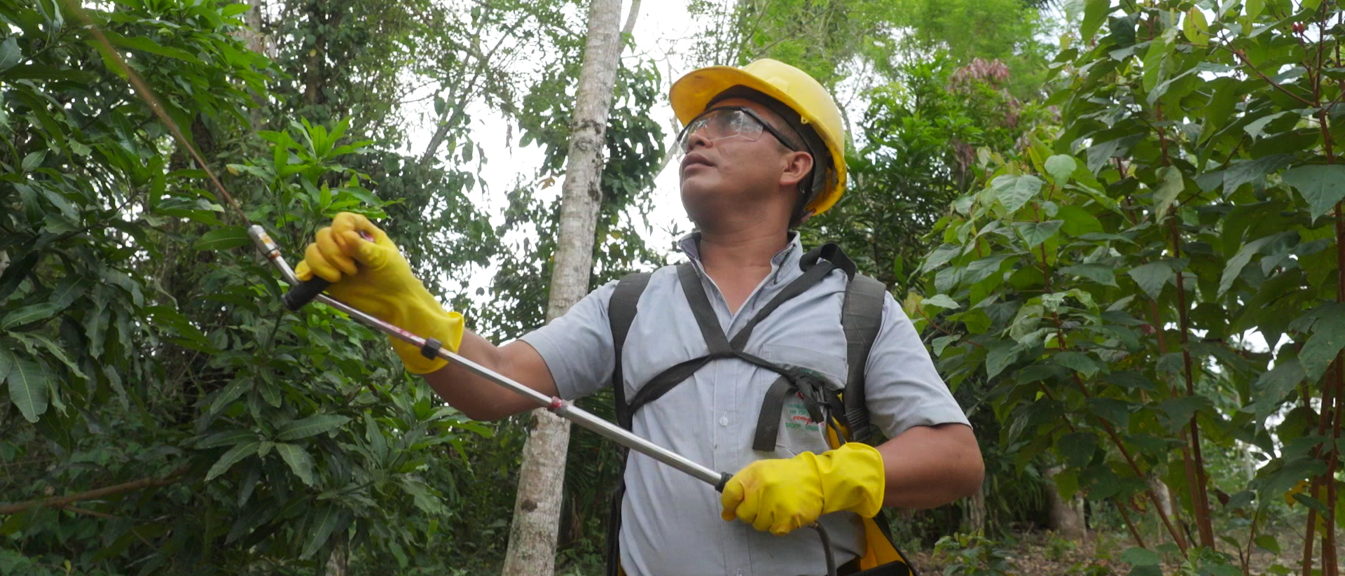 Aspersiones-Terrestres-01-3