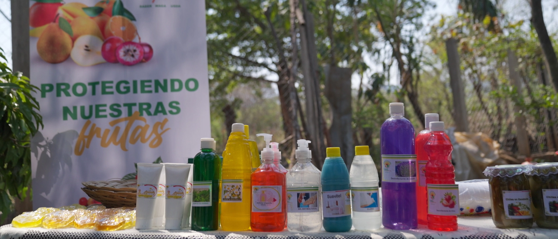 Comunicacion-Moscamed-2