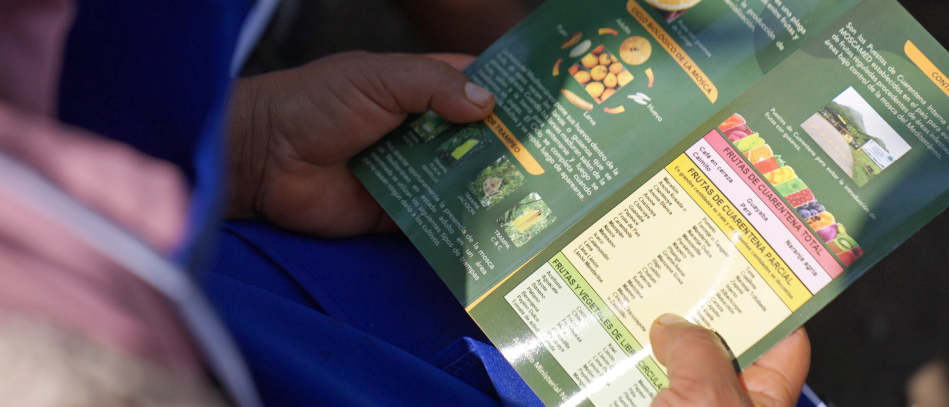 Comunicacion-Moscamed