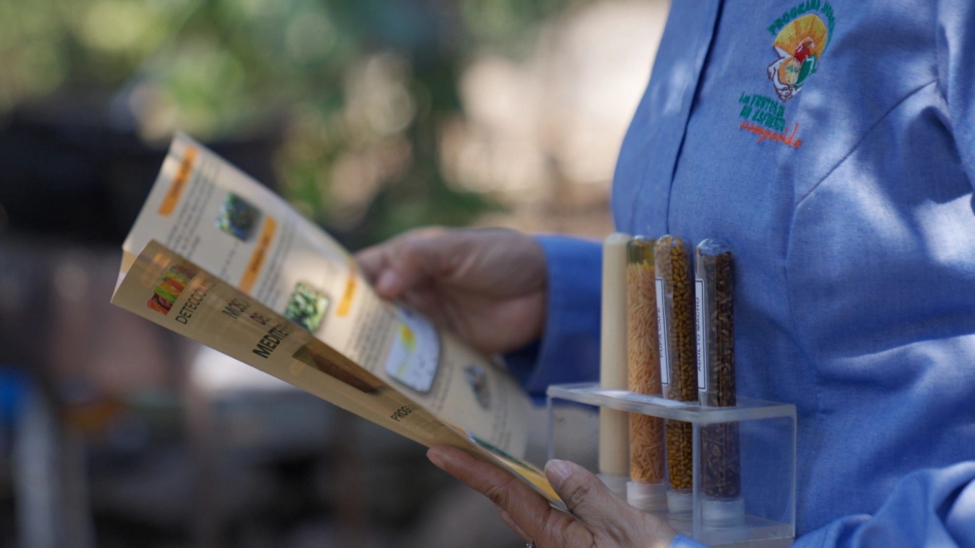 ComunicacionSocial-Moscamed