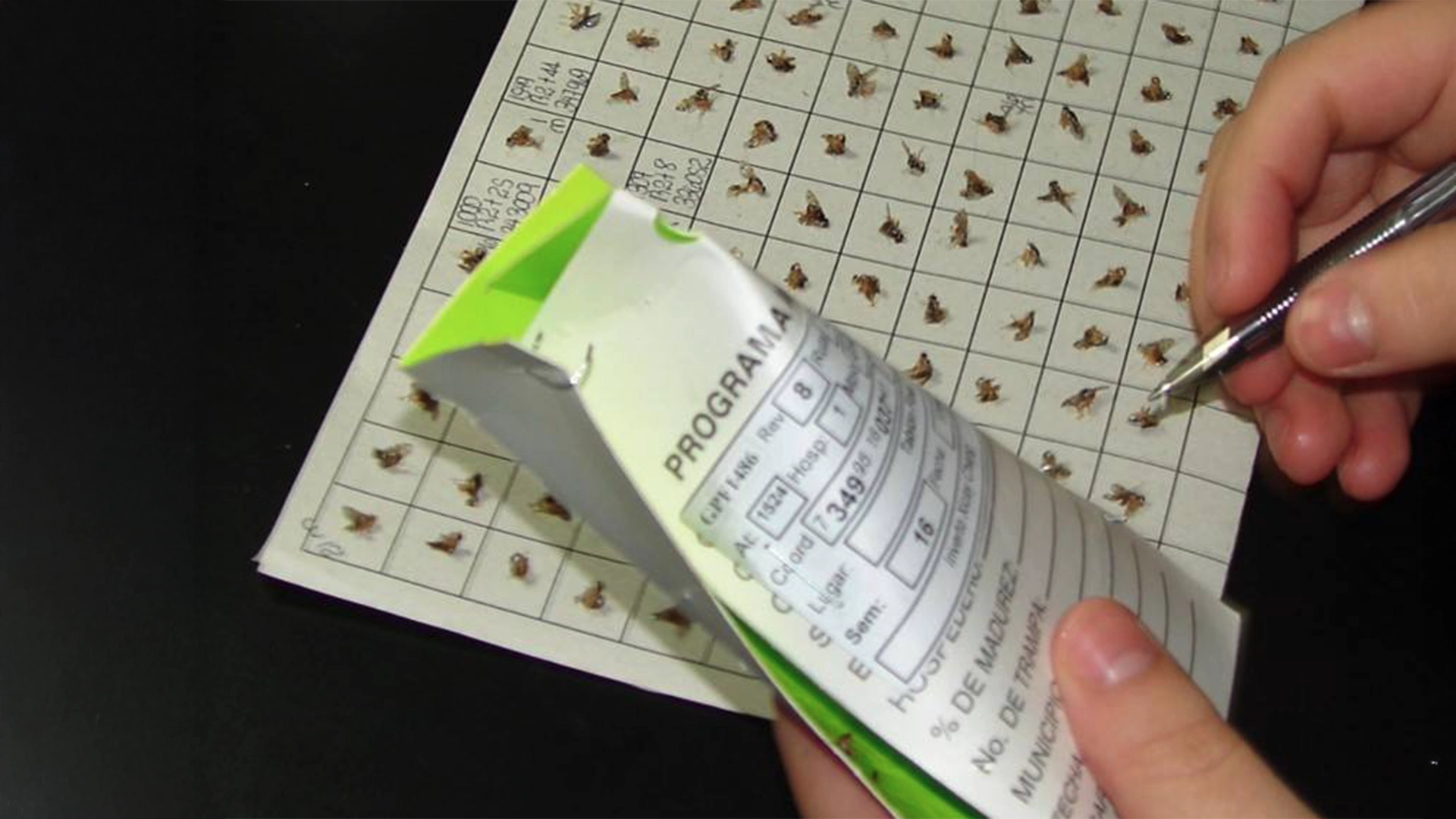 Laboratorio-Moscamed