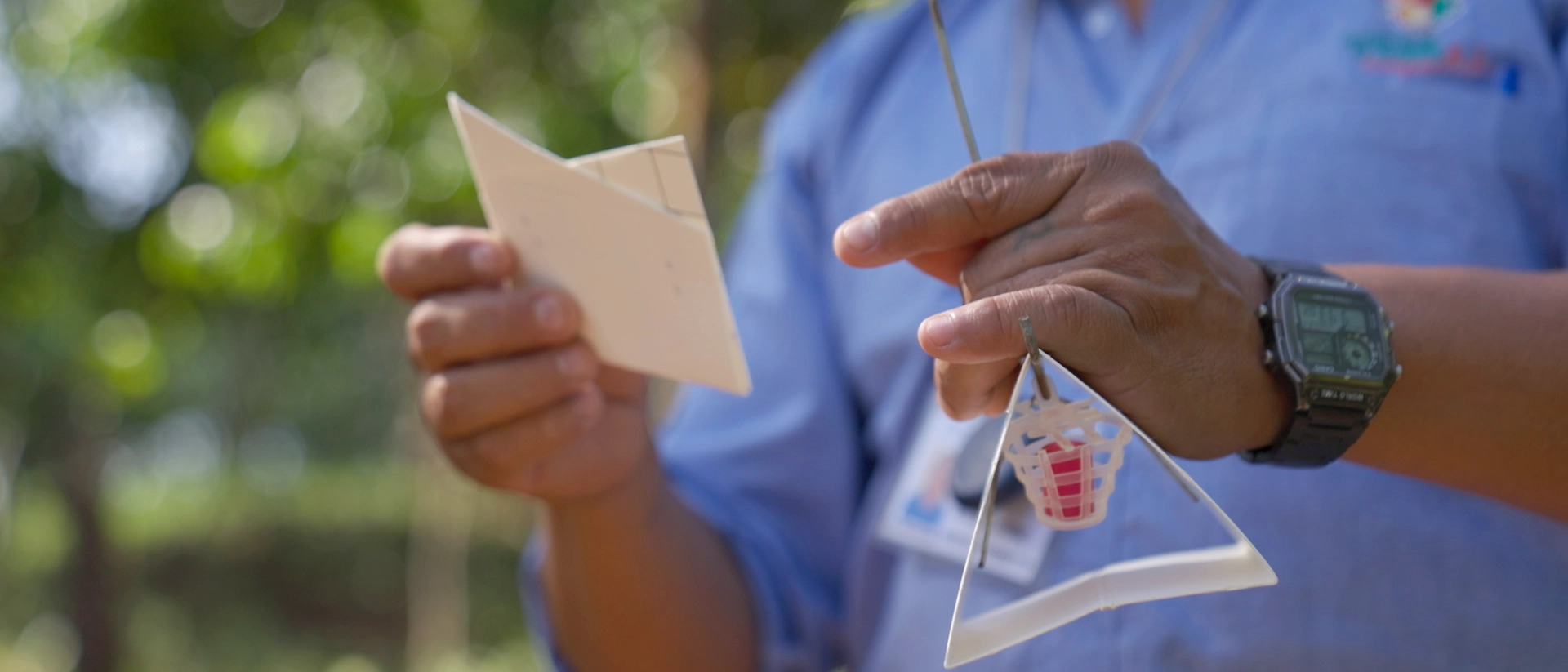 Detección por trampeo