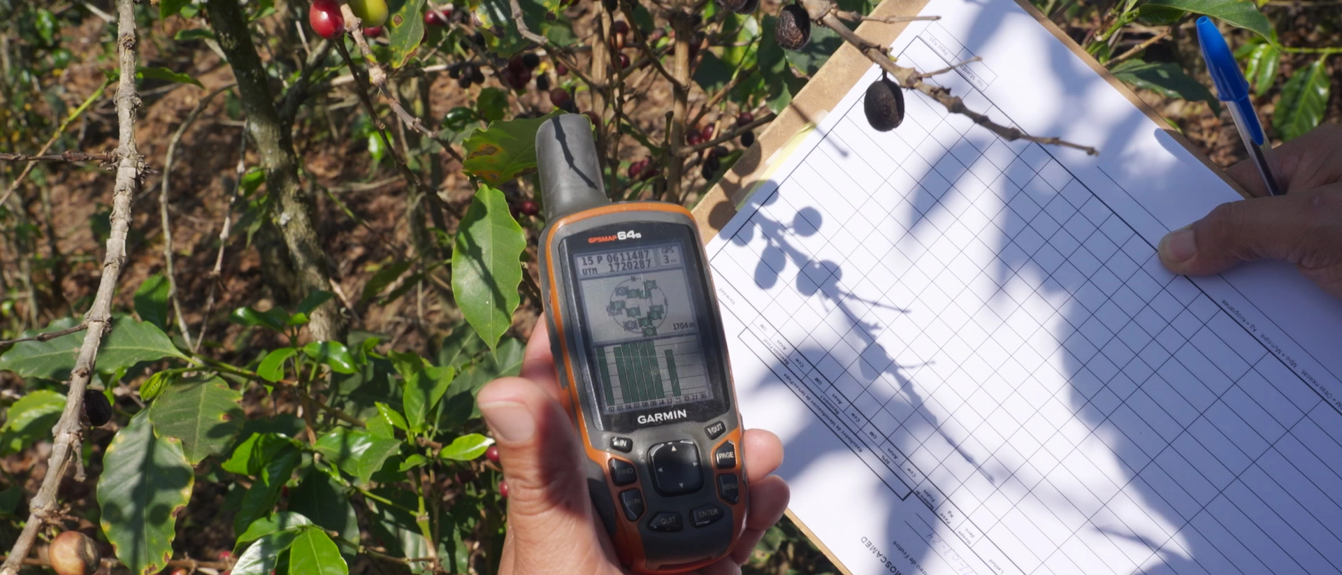 Muestreo-frutas-proceso-2