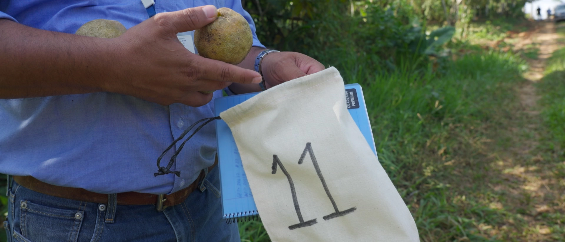 Muestreo-frutas-proceso-3