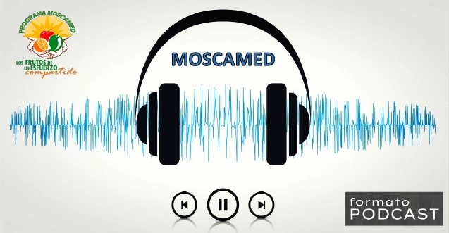 Hablemos sobre la mosca del Mediterráneo