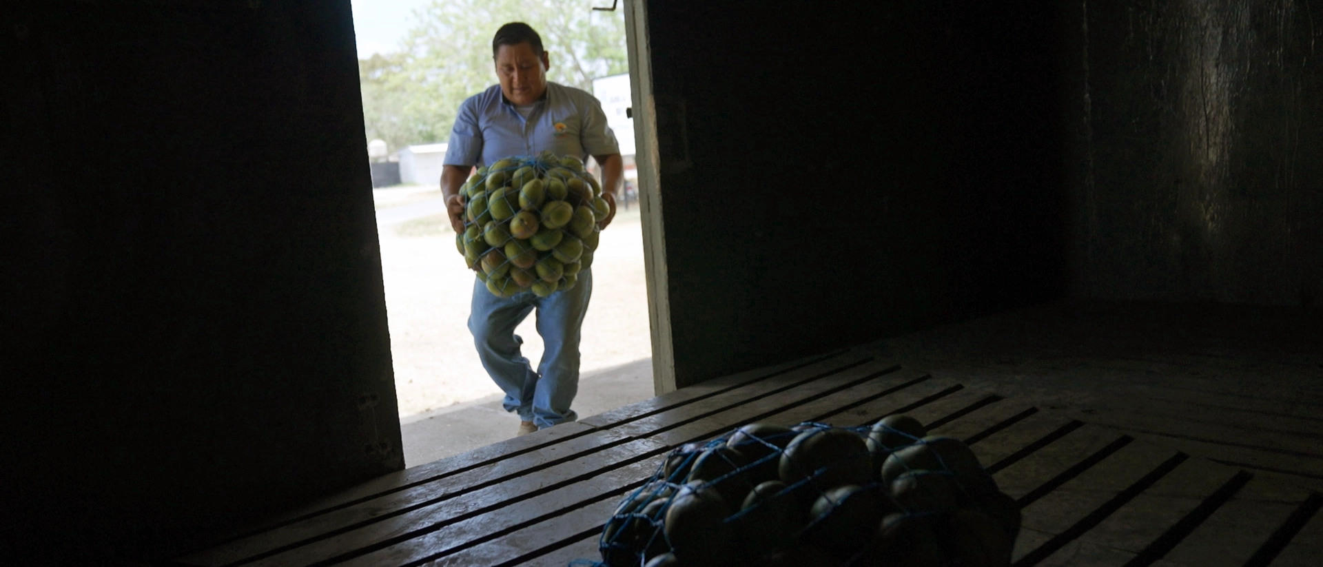Control Legal de la Mosca del Mediterráneo