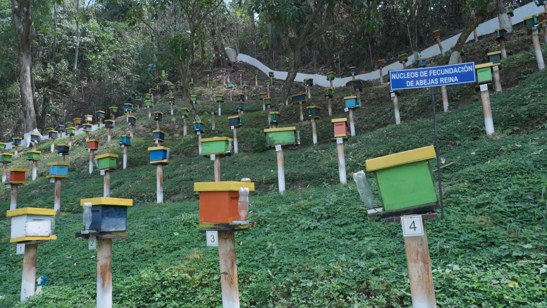 RAW-STUIO6062.00_18_32_02.Still049