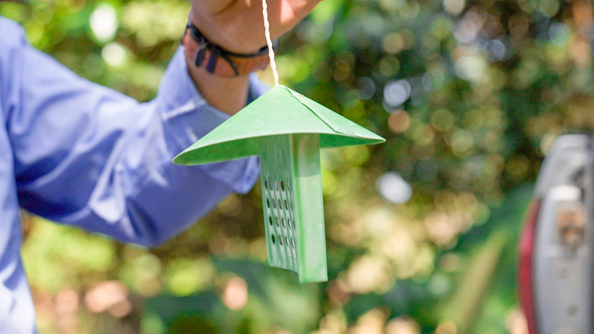 como-se-instala-cebo-2