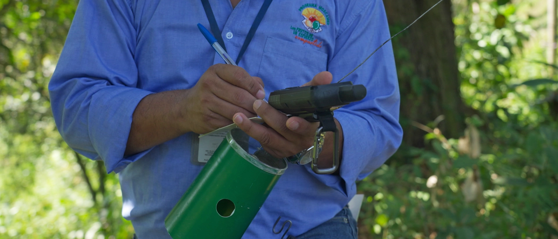 deteccion-por-trampeo-4