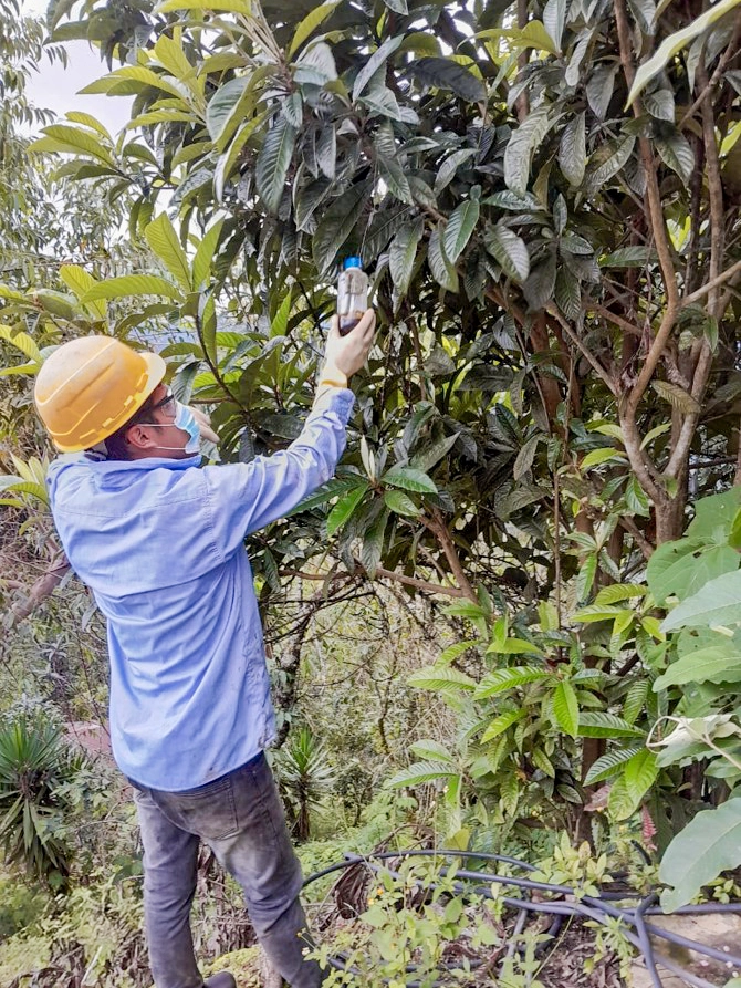 dispositivos-de-Trampeo-Masivos-2