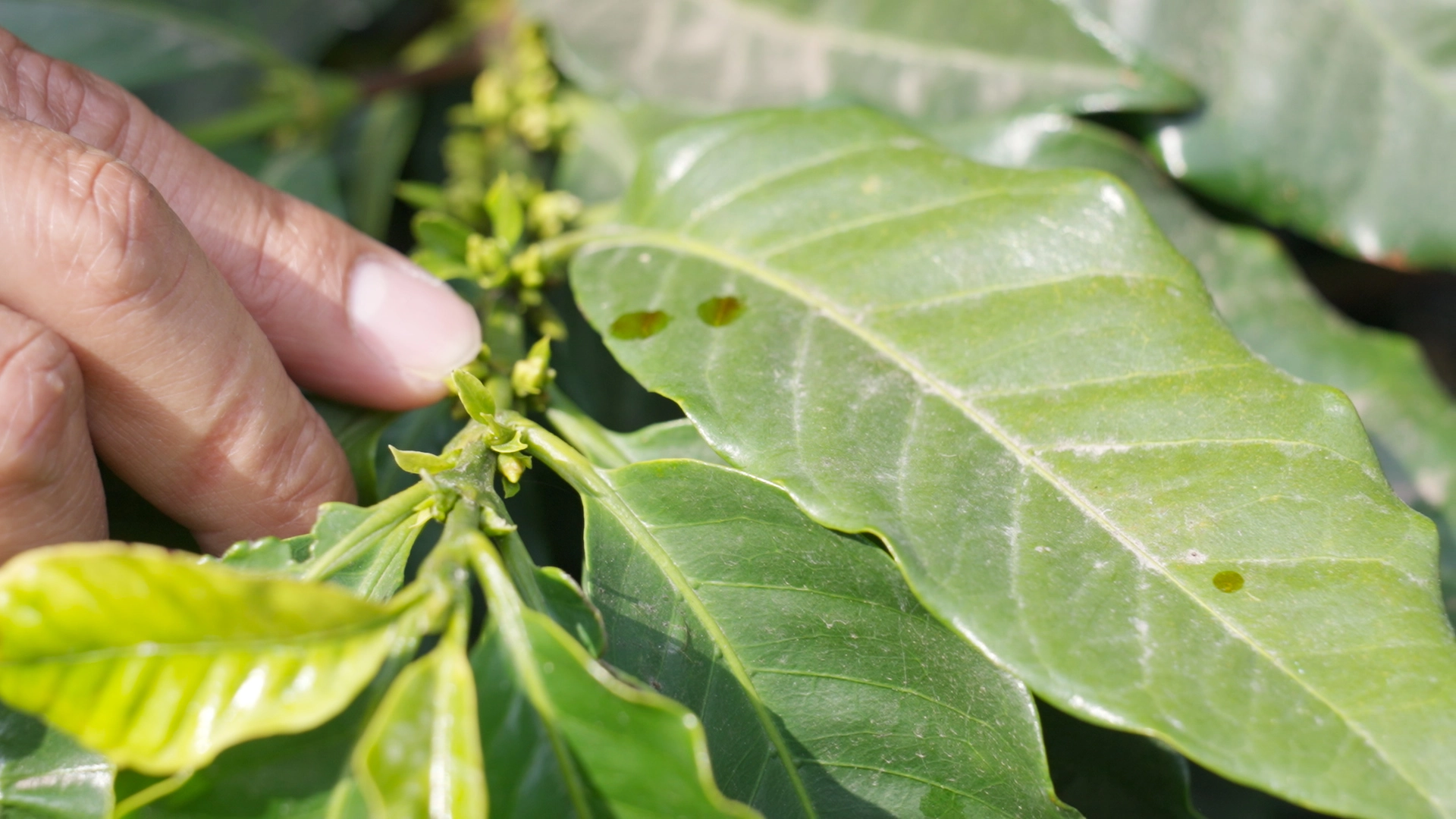 en-donde-se-aplica-terrestre-3